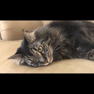 Meet your Posher, Kristi